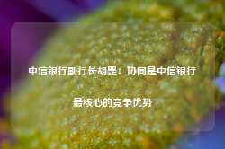 中信银行副行长胡罡：协同是中信银行最核心的竞争优势