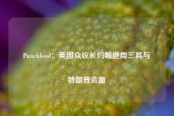 Punchbowl：美国众议长约翰逊周三将与特朗普会面