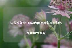 Sea大涨超20% Q3营收同比增长30.8%超预期且扭亏为盈