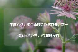 下周看点：多个重磅会议将召开，新一期LPR将公布，3只新股发行