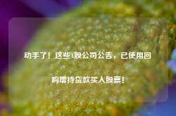 动手了！这些A股公司公告，已使用回购增持贷款买入股票！