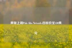 美银上调Palo Alto Networks目标价至430美元