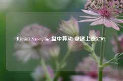 Rimini Street, Inc.盘中异动 急速上涨5.70%