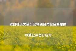 欧盟驻美大使：若特朗普再掀贸易摩擦 欧盟已准备好应对