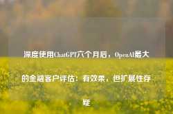 深度使用ChatGPT六个月后，OpenAI最大的金融客户评估：有效果，但扩展性存疑