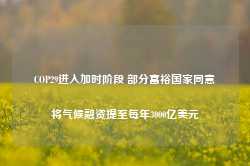 COP29进入加时阶段 部分富裕国家同意将气候融资提至每年3000亿美元