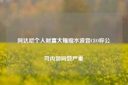 阿达尼个人财富大幅缩水波音CEO称公司内部问题严重