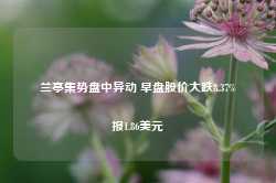 兰亭集势盘中异动 早盘股价大跌8.37%报1.86美元