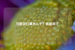 马斯克打算怎么干？答案来了