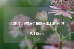 美国9月份20城房价指数同比上涨4.6% 预估上涨4.7%