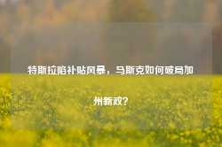 特斯拉陷补贴风暴，马斯克如何破局加州新政？