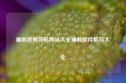 福利视频导航网站大全福利软件航导大全